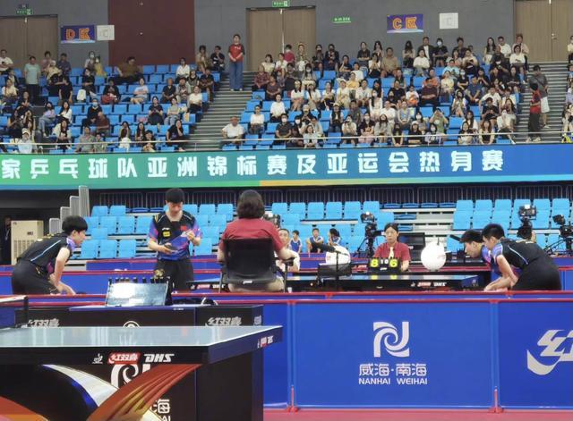 动爱好者的 动爱好者的