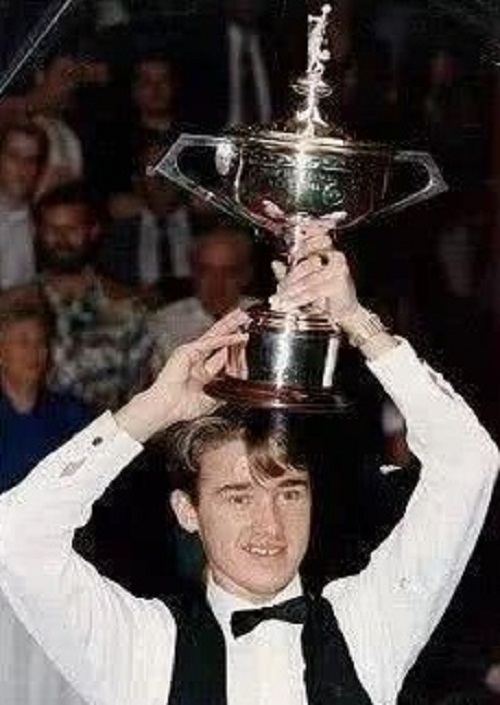 国内市场的 国内市场的