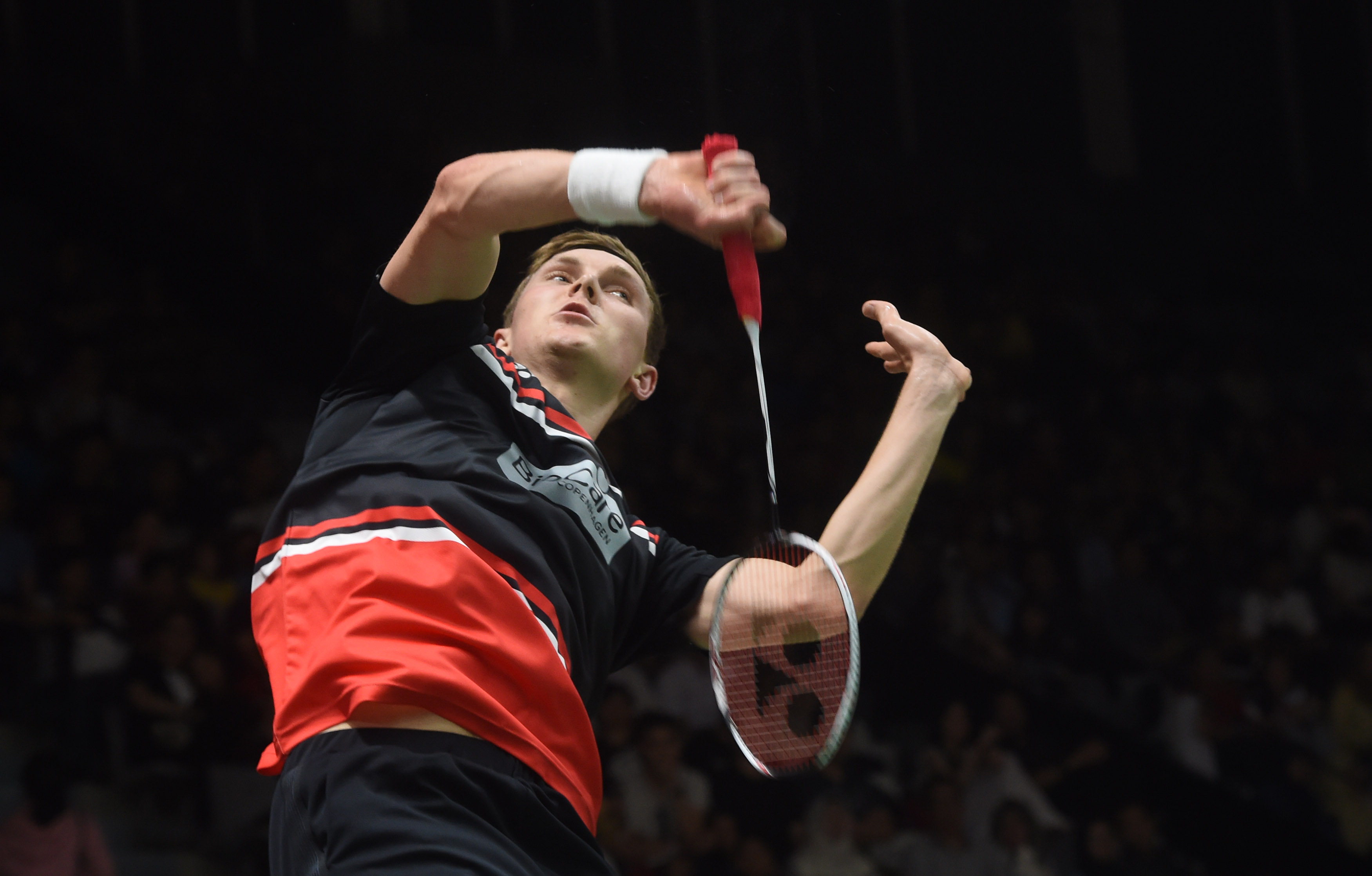 养则是教练 养则是教练